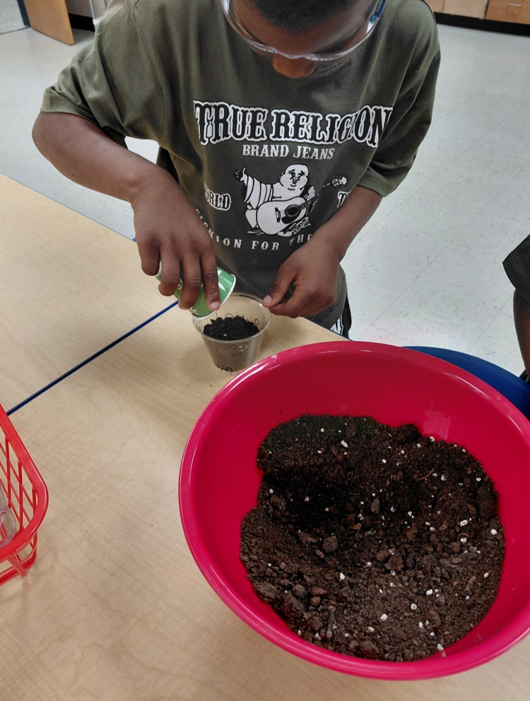 soil