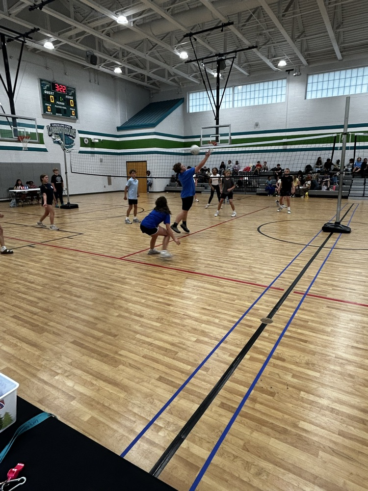 volleyball