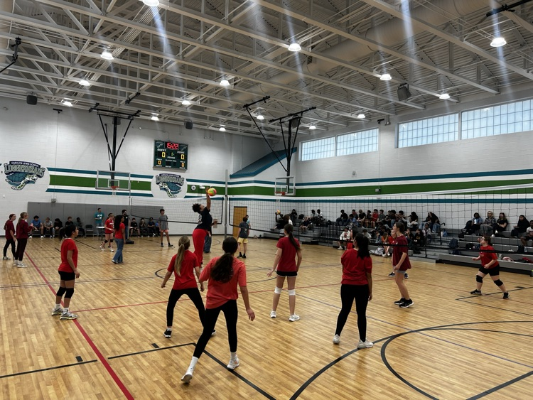 volleyball