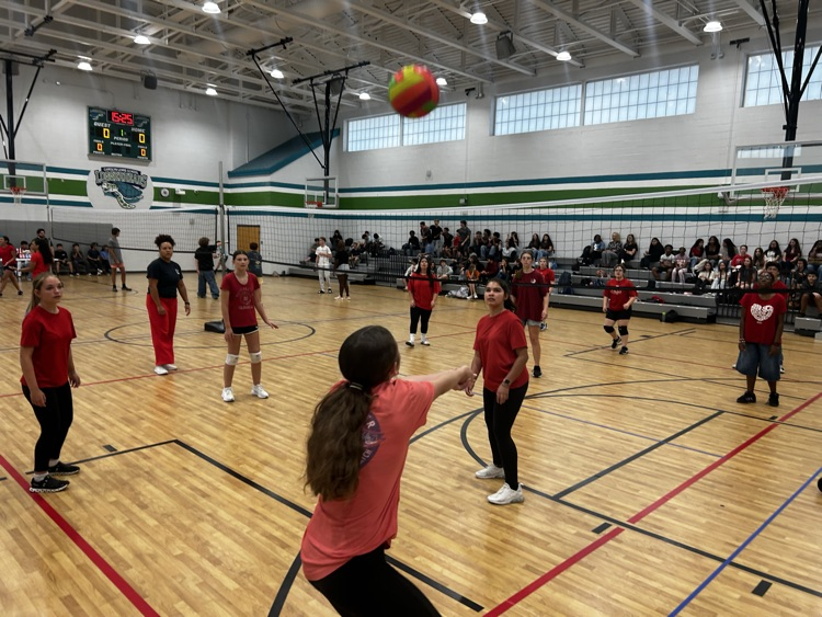 volleyball
