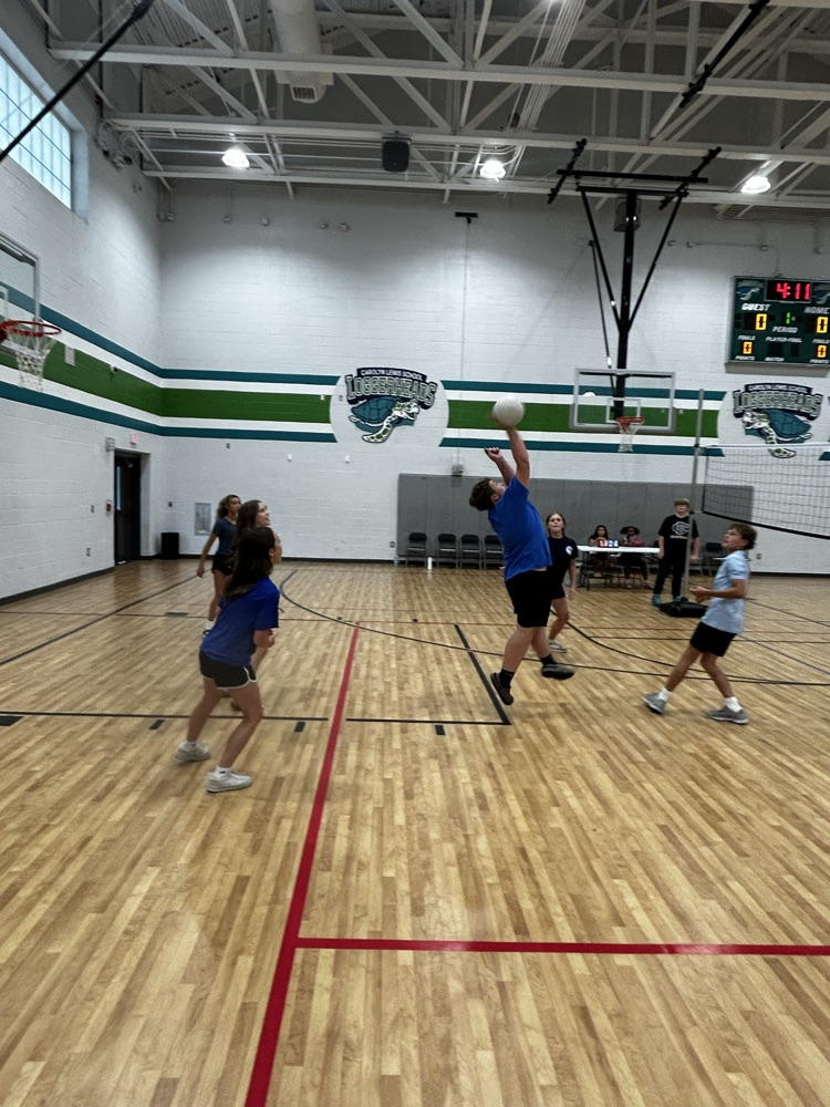 volleyball volleyball