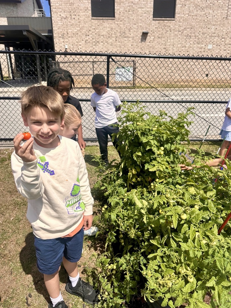 Children stand behind a fence near a building. A boy holds a tomato, smiling. Others stand behind him, one with an outstretched arm.
