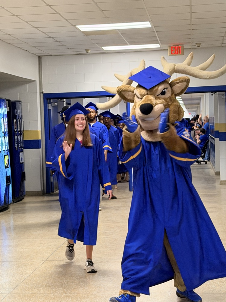 GRAD Walk 1