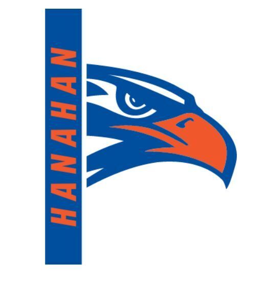 Hawk