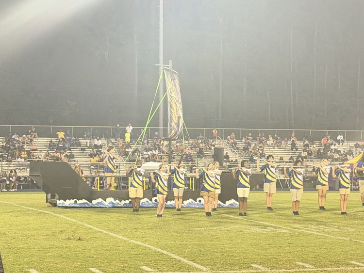 Blue Brigade