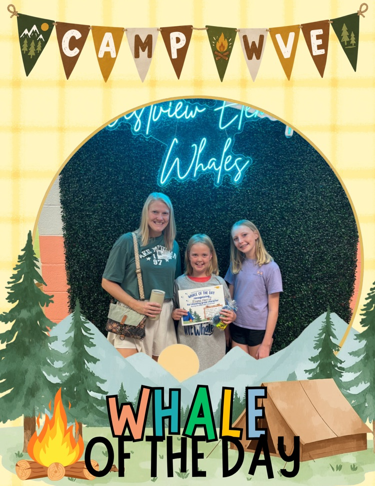 Whale of the Day