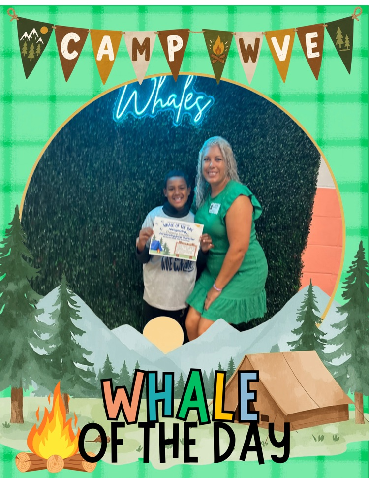 Whale of the Day