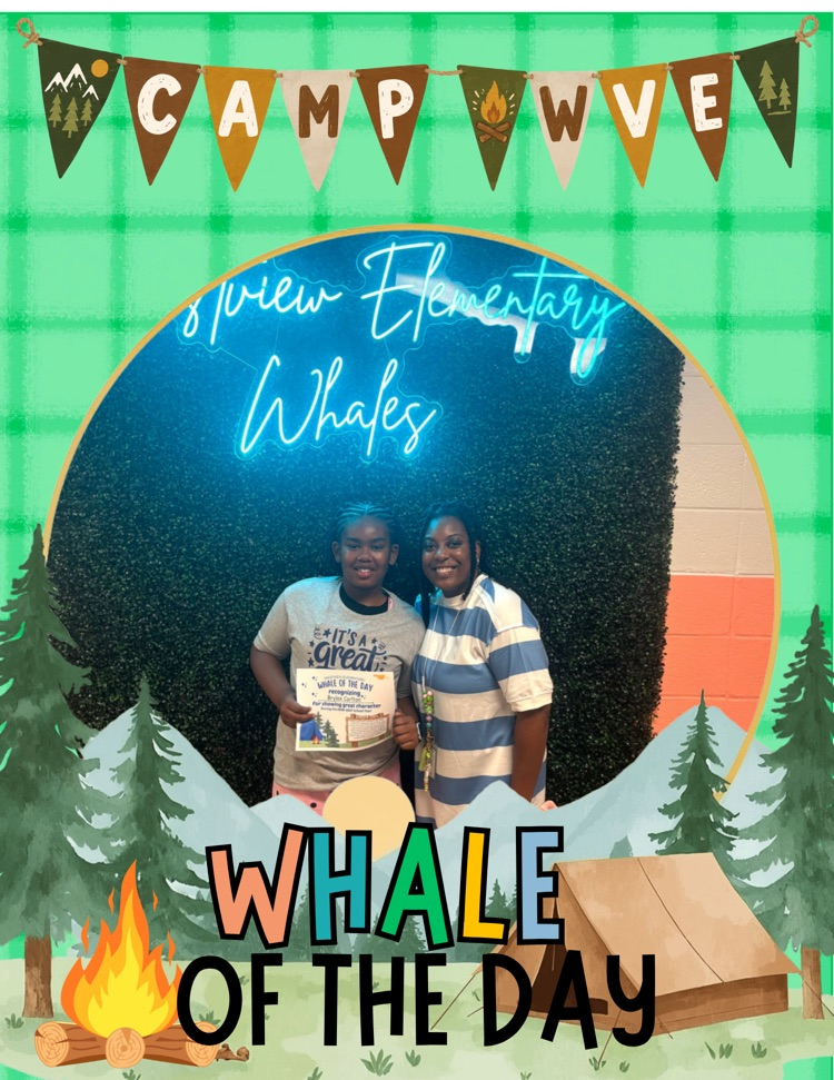 Whale of the Day