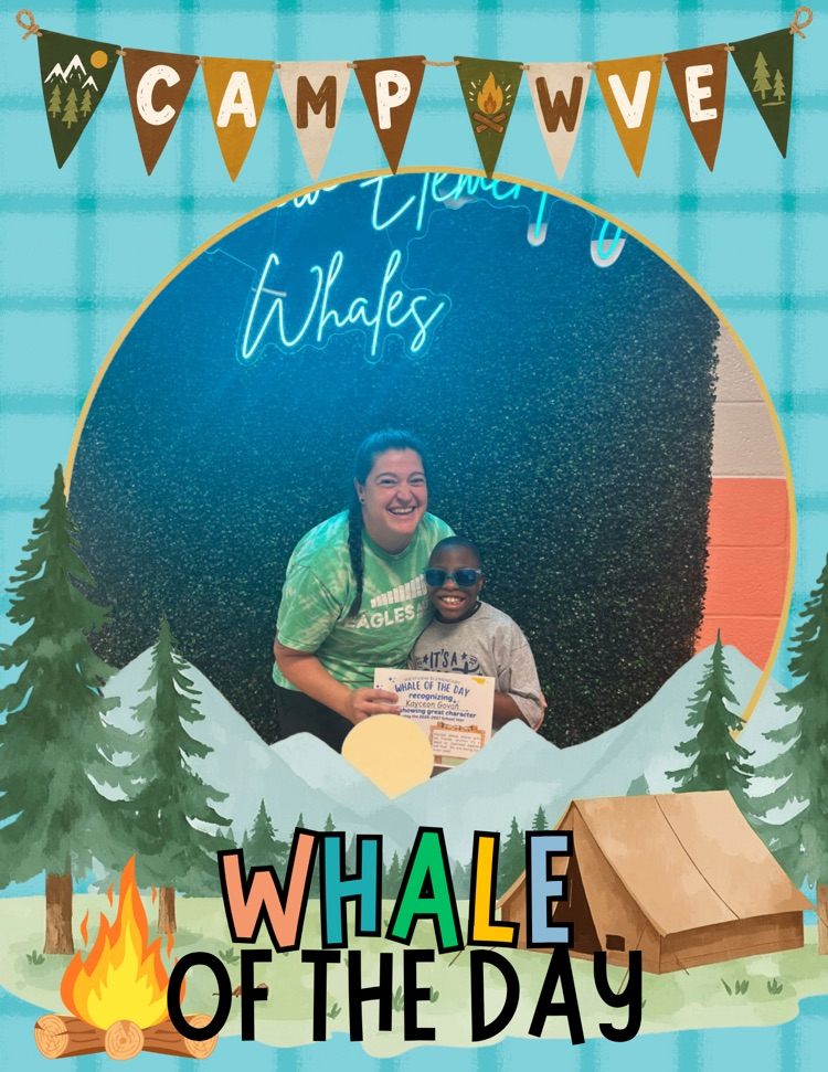 Whale of the Day
