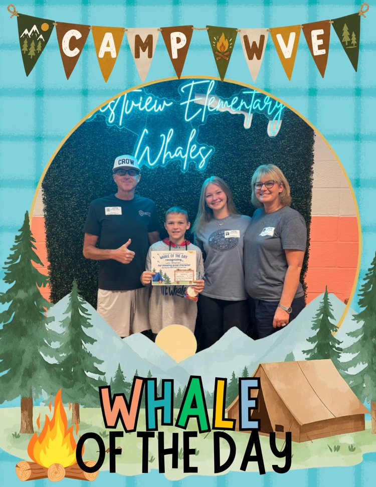Whale of the Day