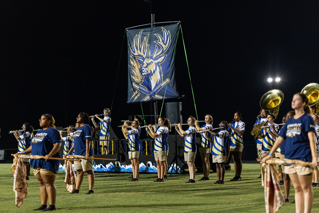 A marching band with flutes, trumpets, and tubas on a field. A flag with a deer logo hangs in the background.