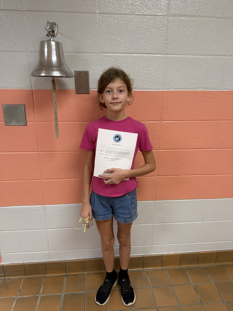 Positive Referral WVE Spotlight