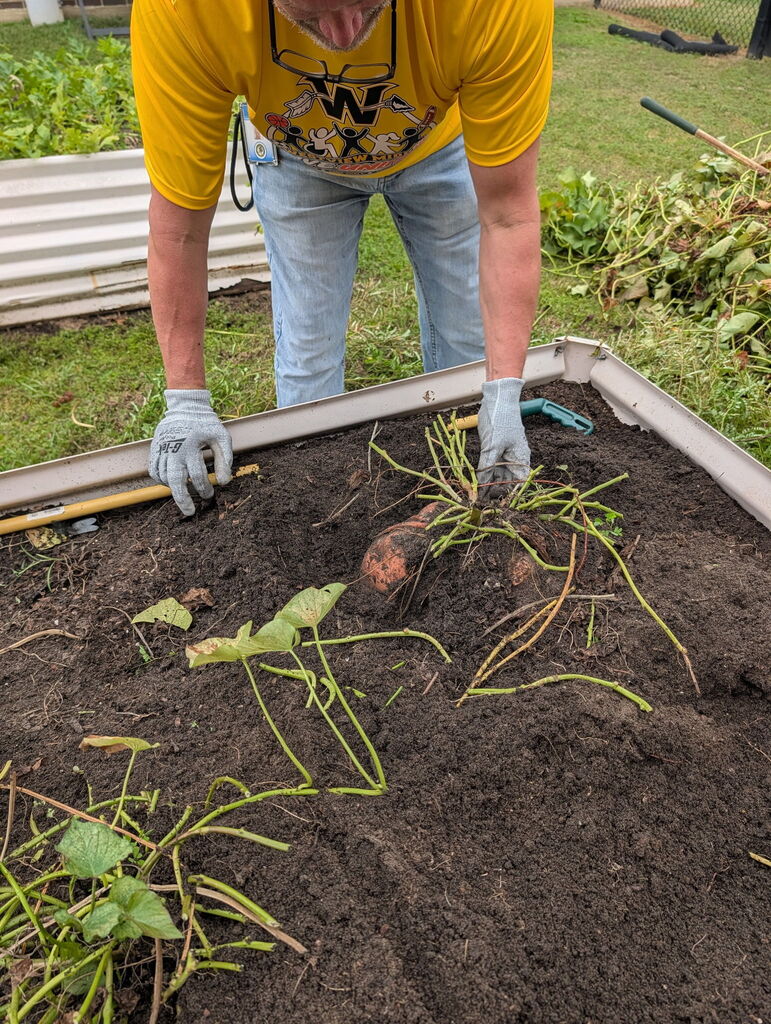 gardening club