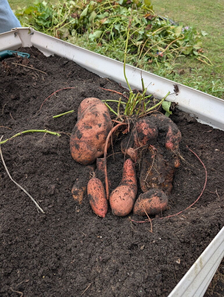 gardening club