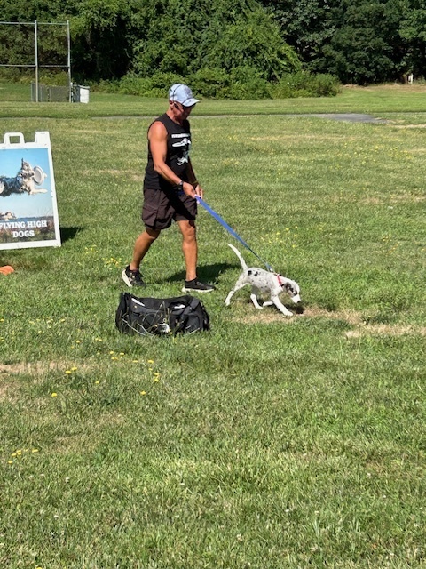 High Flying Dog Show