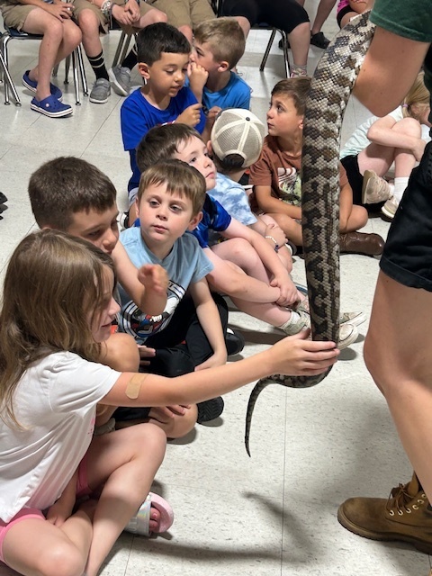 Animal Adventure Show