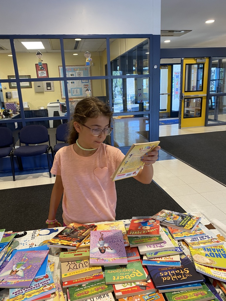 Summer Book Fair