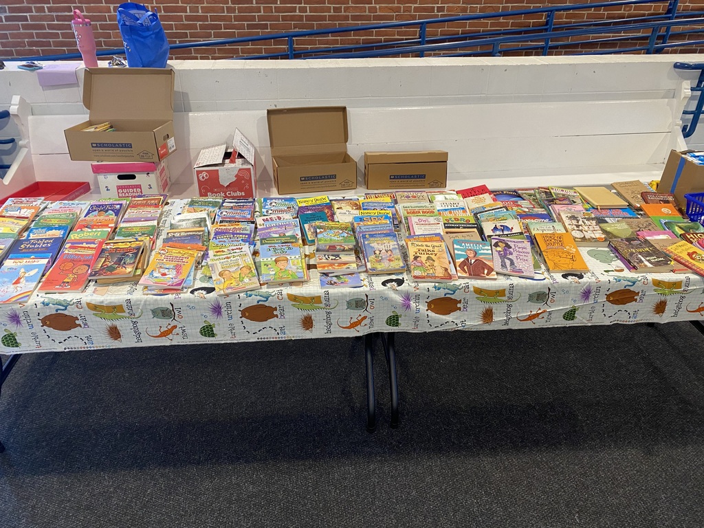 Summer Book Fair