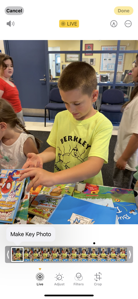 Summer Book Fair