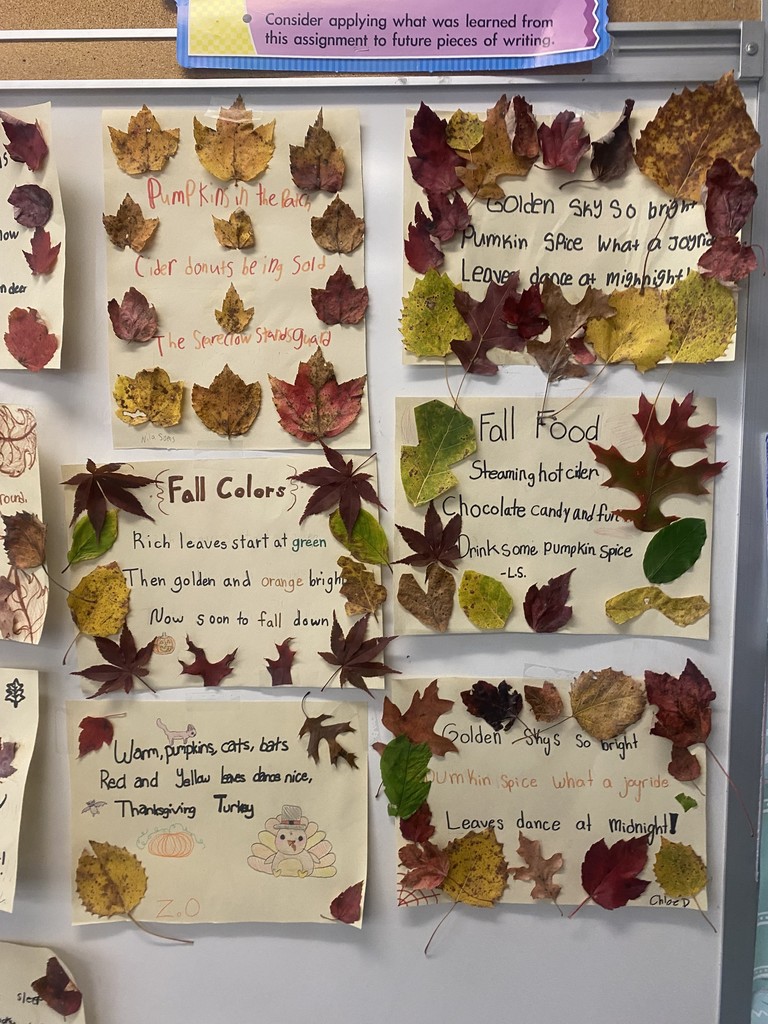 Haiku Poems about fall