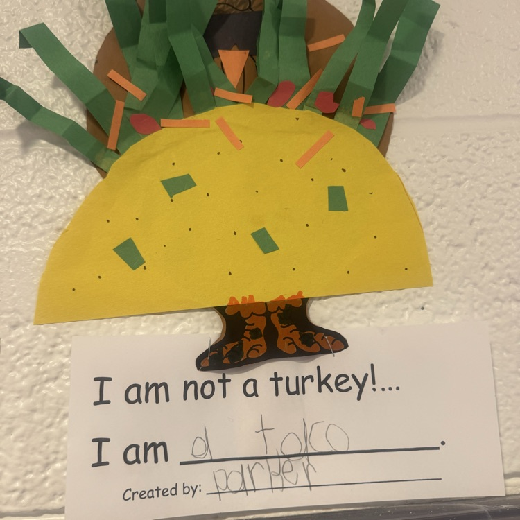 turkey disguise 