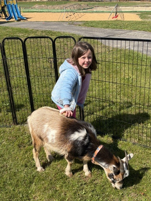Surround Care Animal Visit