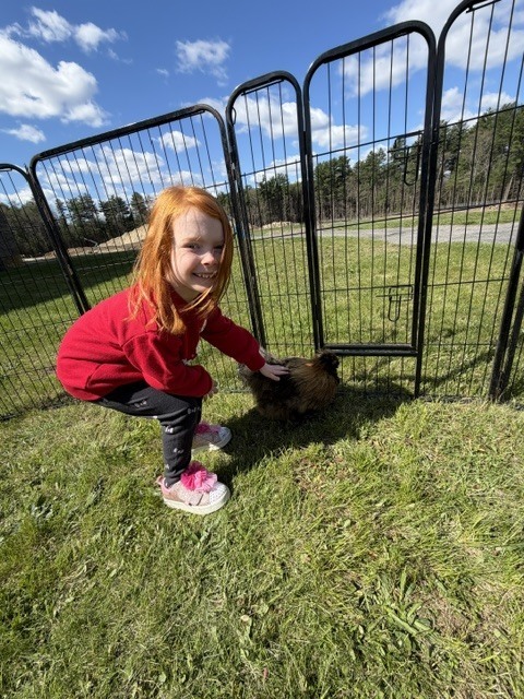Surround Care Animal Visit