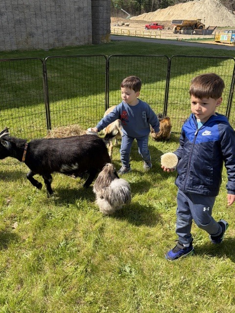 Surround Care Animal Visit