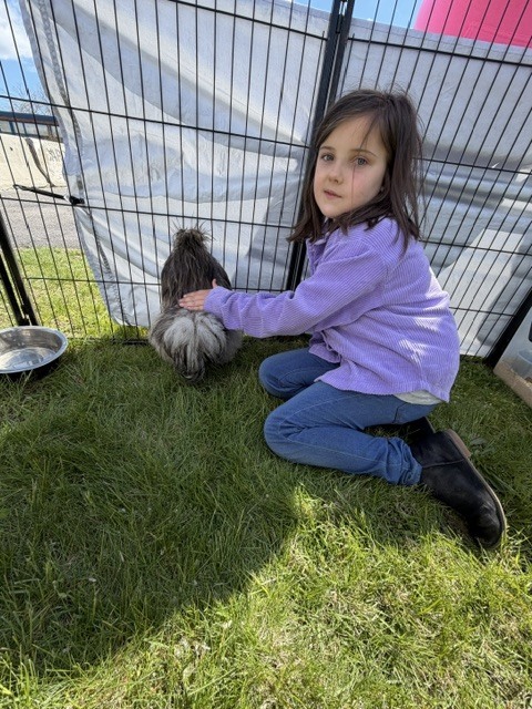 Surround Care Animal Visit