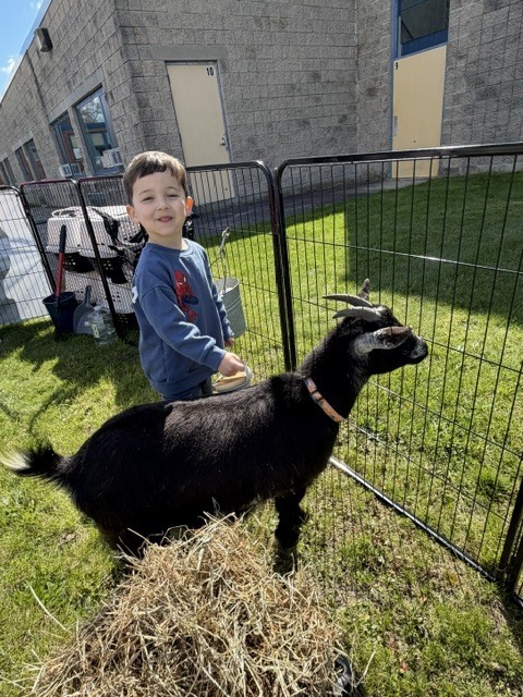 Surround Care Animal Visit