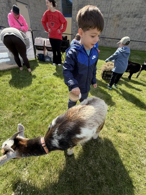 Surround Care Animal Visit