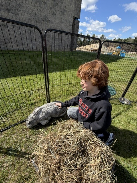 Surround Care Animal Visit