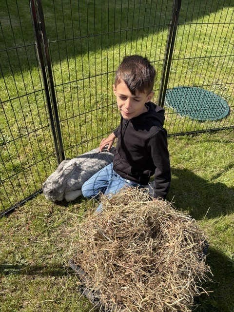 Surround Care Animal Visit