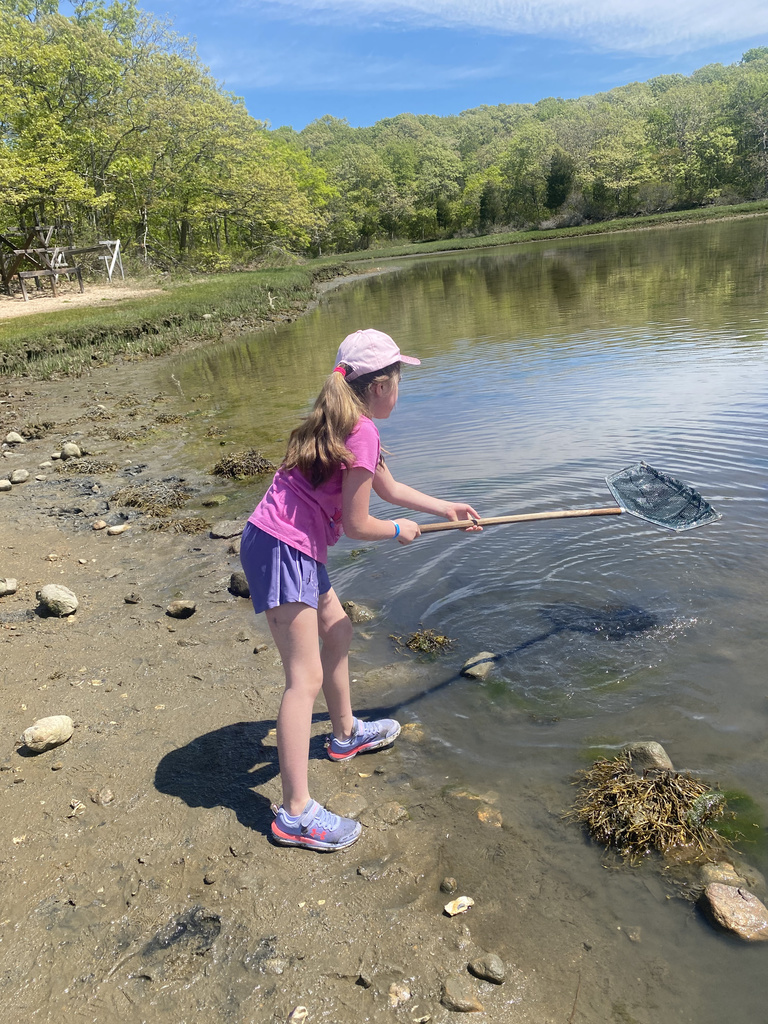 Grade 2 Field Trip