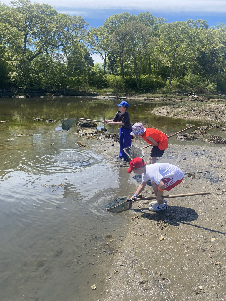 Grade 2 Field Trip