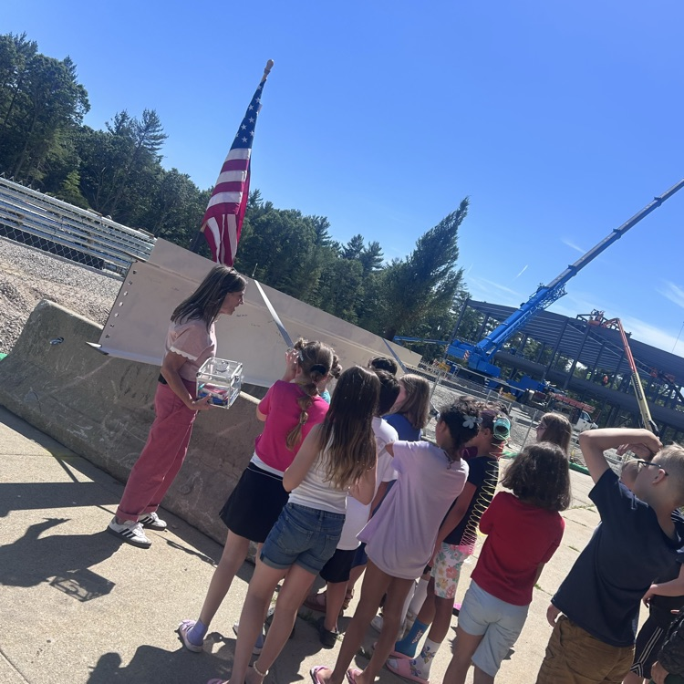beam signing 