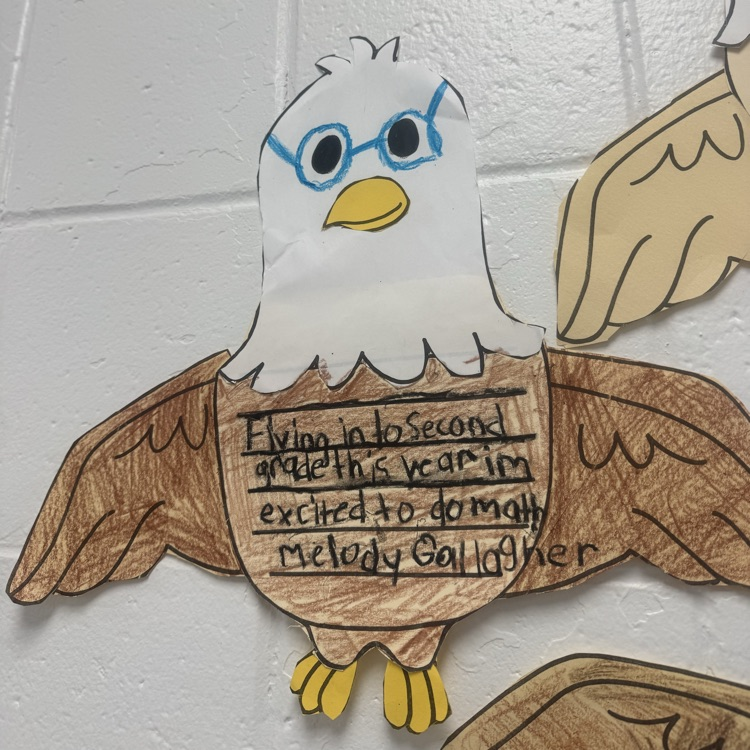eagles soar