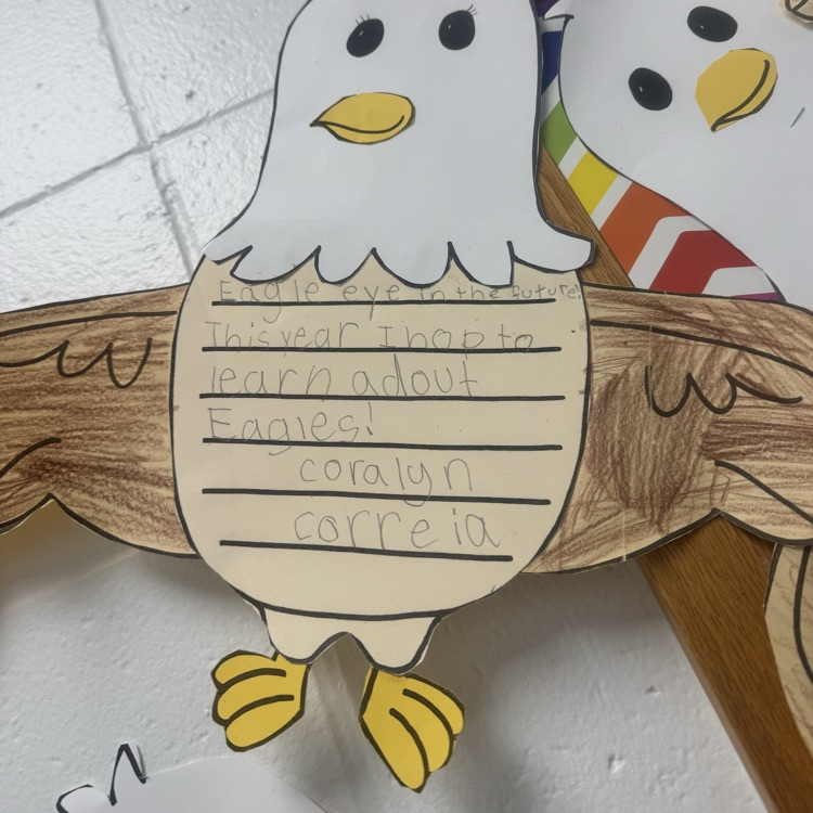 eagles soar
