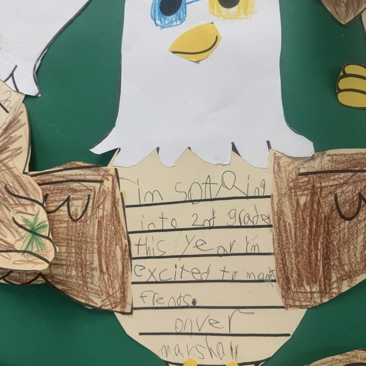 eagles soar