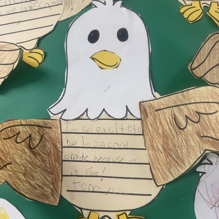 eagles soar