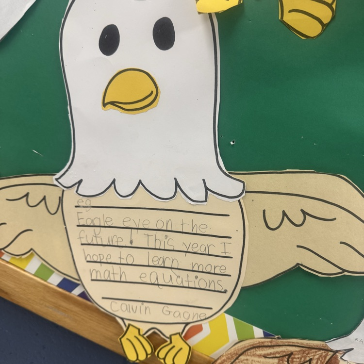 eagles soar