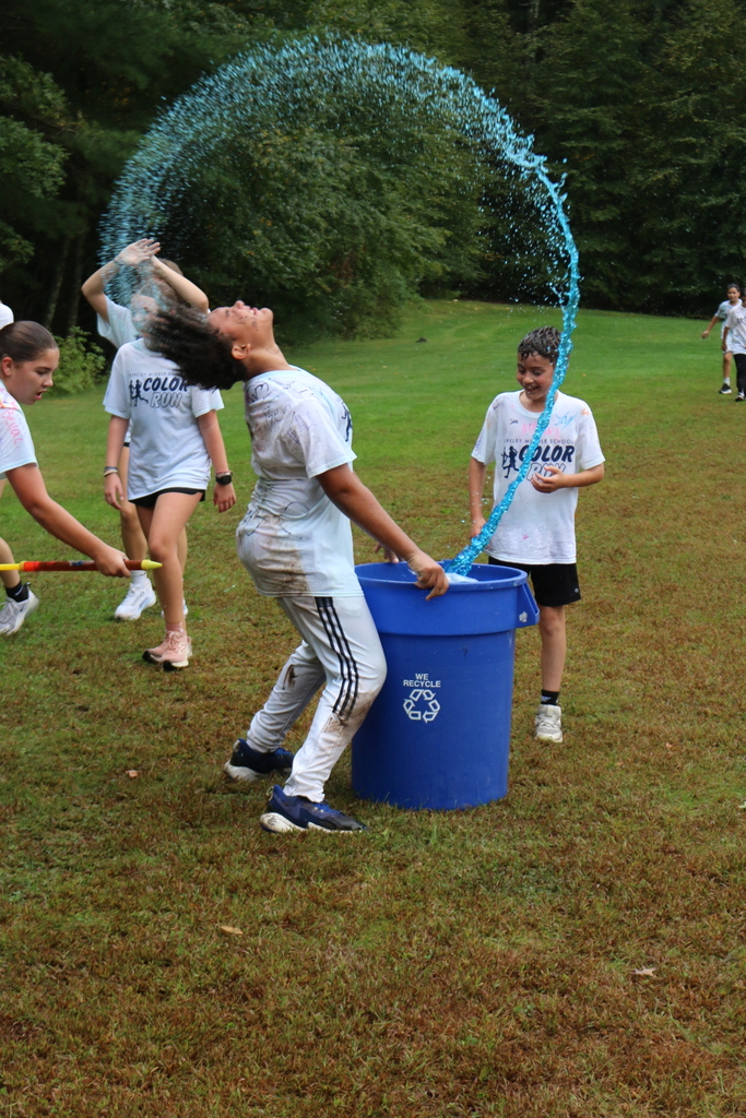 BMS Color Run 2026