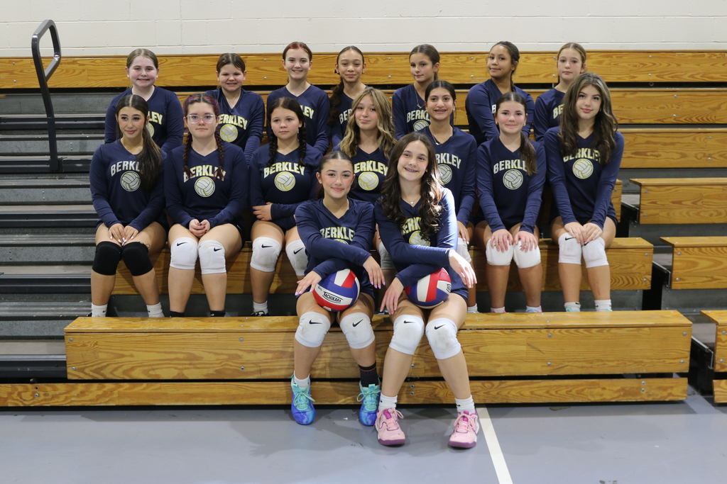 Volleyball