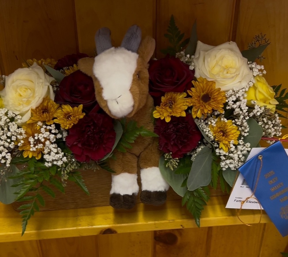 A playful floral display in a wooden box with white, red, and yellow flowers accented by greenery. A stuffed goat toy is centered in the arrangement. A blue first-place ribbon from the 2025 Oley Valley Community Fair is attached with exhibitor tag reading “Elizabeth Fortna.”