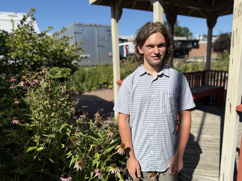 A person stands outdoors in front of a wooden gazebo, wearing a short-sleeved, light blue and white striped button-up shirt. They have curly hair. To the left, blooming pink flowers and green foliage are visible. In the background, buildings and vehicles appear under a clear blue sky.