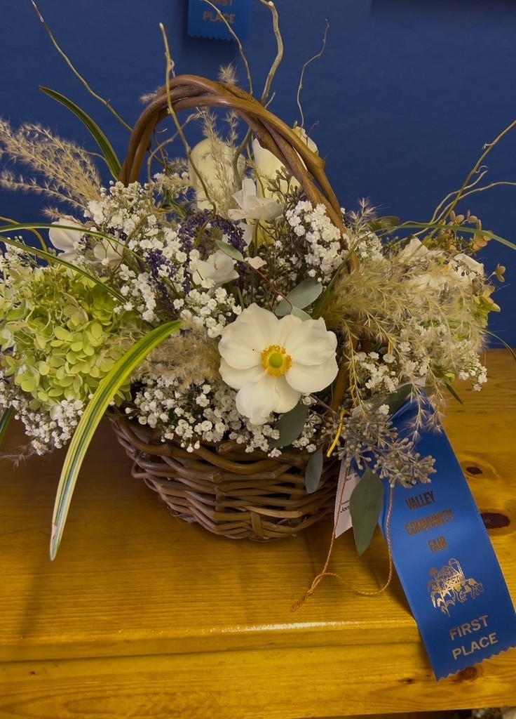 A wicker basket overflowing with white cosmos, baby’s breath, hydrangeas, ornamental grasses, and greenery. A blue first-place ribbon from the 2025 Oley Valley Community Fair is attached.