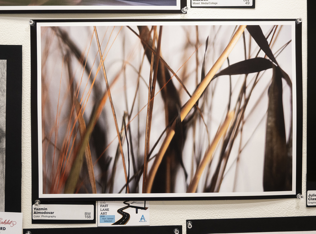 Close-up photograph of tall grasses lit by warm sunlight, creating a soft, natural composition.