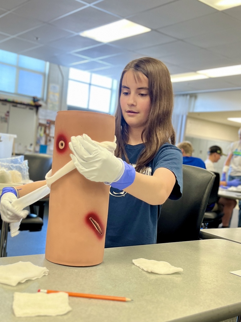 Career Camp participant practices bandaging a simulated wound on a training model.