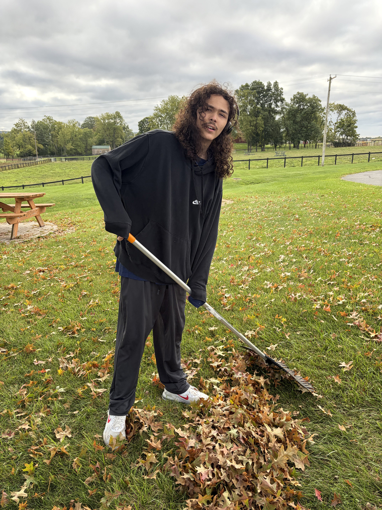Person in black clothing rakes leaves on a grassy field with trees and a picnic table.