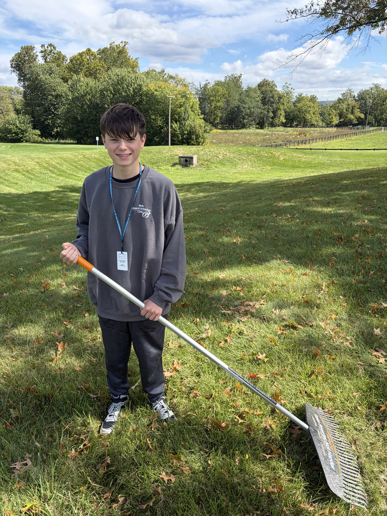 Boy with ID tag standing in a grassy area holding a rake under a blue sky.